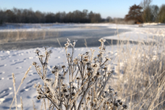 Bosmans Brook, winter met hoog water