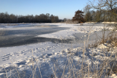 Bosmans Brook, winter met hoog water