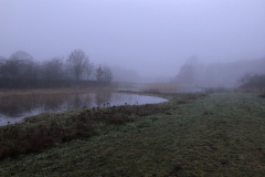Bosmans Brook, ochtendnevel