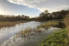 Bosmans Brook, hoog water in de herfst