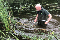 Met de zeis het riet en lisdodden maaien. Zwaar werk !