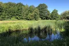 D'n Leeg'n Könningsstool, zomers plaatje