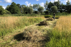 D'n Leeg'n Könningsstool, SINUS grasland beheer