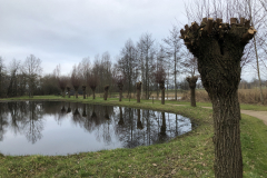D'n Leeg'n Könningsstool, wilgen geknot