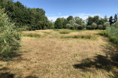 D'n Leeg'n Könningsstool, SINUS graslandbeheer