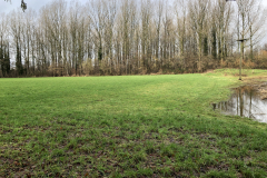 Hartelergoorbos uitzicht op de naastgelegen weide