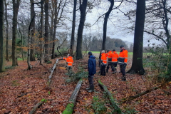 Beheer en onderhoud bossingel Oedingsebeekdal 