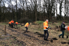 Planten bosplantsoen voor aanleg struweelzone 