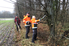 Buren hebben last van overhangende takken. Onderhoud aan de bossingel 