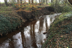 De Oossink/Bemersbeek bij Kotten