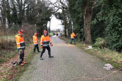 Verwijderen risicobomen en -takken langs de Esinkweg, Kotten