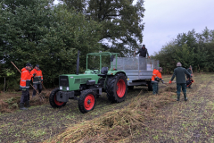 Opruimen en afvoeren van het maaisel