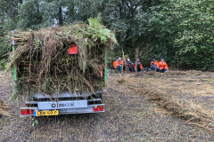 Opruimen en afvoeren van het maaisel