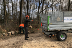 Afvoeren van het hout