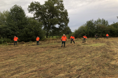 Harkploeg in actie