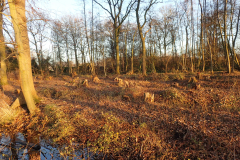 Tichelmansbos, plaatsing duiker onder de inrit