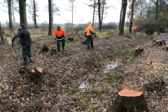 Tichelmansbos, zwaar werken op de rabatten 