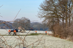 Tichelmansbos,knotten van de wilgen,  winters klusje