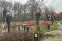 Wilgen knotten D'n Leeg'n Könningsstool Zieuwent