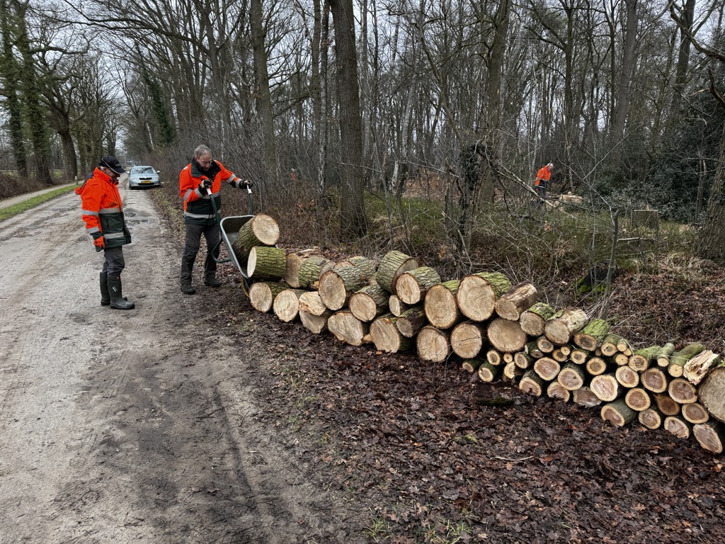 Werkzaamheden Sieverinksbos