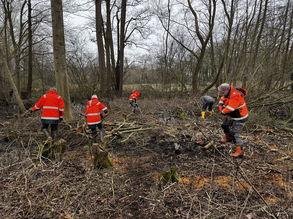 Werkzaamheden Schreuders Weide